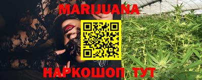 трава Абакан