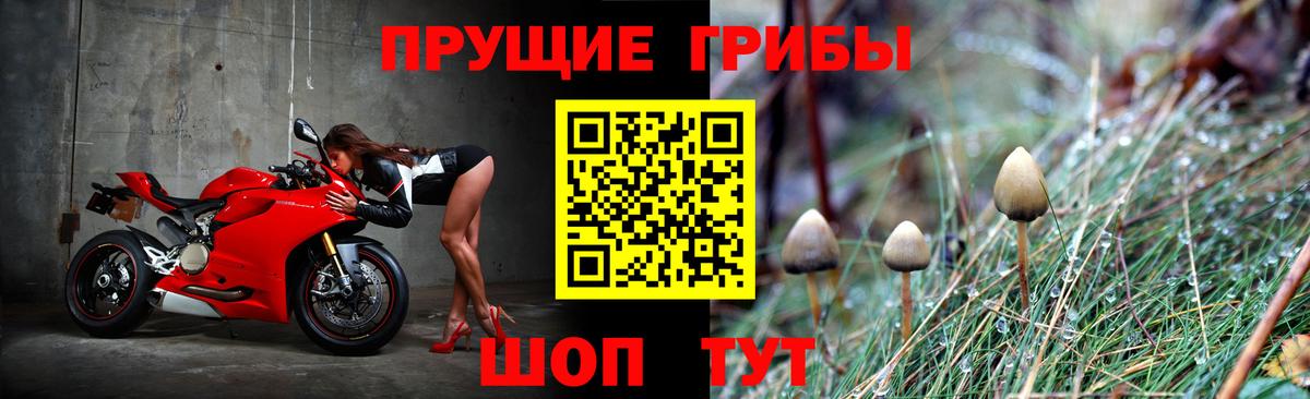 Псилоцибиновые грибы мицелий Алексеевка