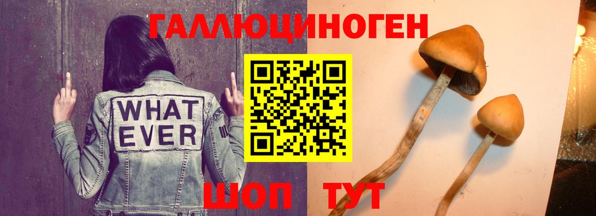 Псилоцибиновые грибы ЛСД  Галлюциногенные грибы GOLDEN TEACHER  Алексеевка  Вход с VPN 