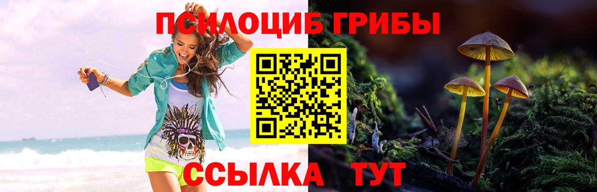Алексеевка  Псилоцибиновые грибы ЛСД  Псилоцибиновые грибы Cubensis  Вход с VPN 
