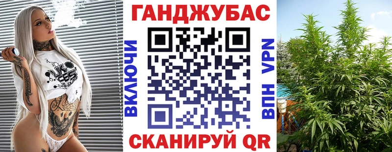 Шишки марихуана THC 21%  hydra онион  Алексеевка  купить  